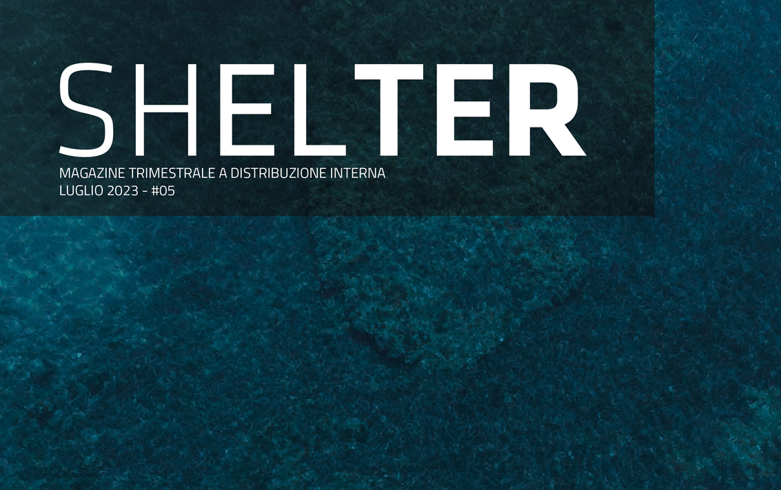 shelter.jpg
